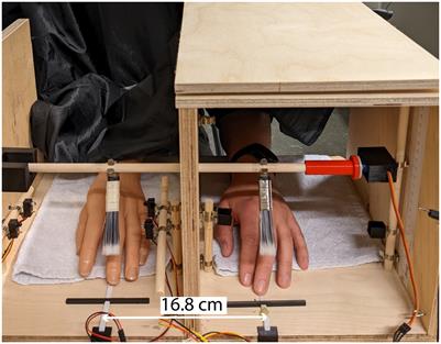 The rubber hand illusion evaluated using different stimulation modalities